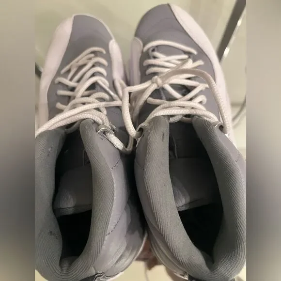 Jordan 12 Stealth 2022 Size 12 Pre-Owned СТ8013-015 Grey White